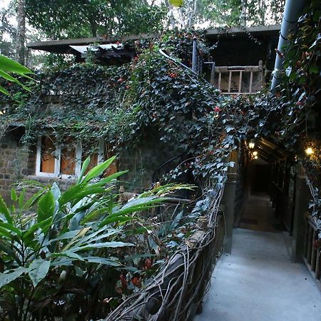 Greenspaces B&B Munnar Exterior photo